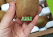 西安PG国际猕猴桃有机果蔬只给会员供应