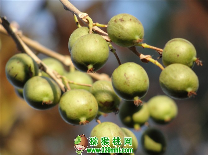PG国际官方网站图片