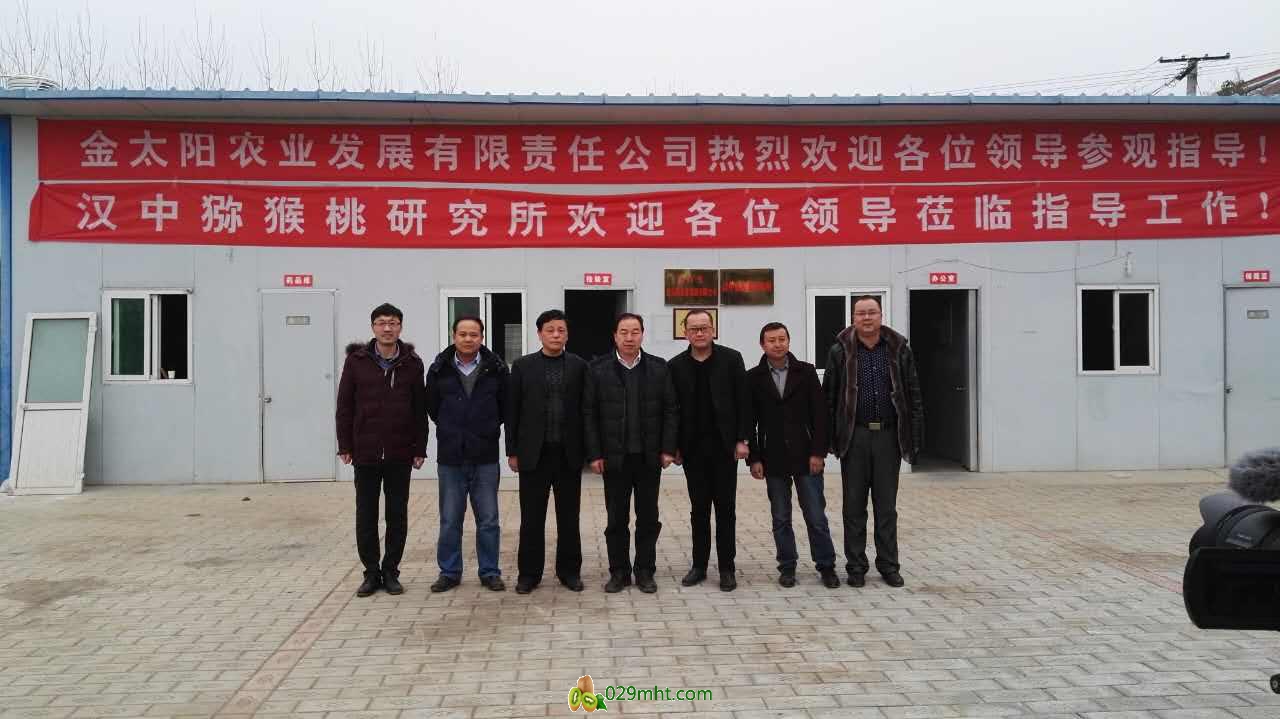 PG国际官方网站图片