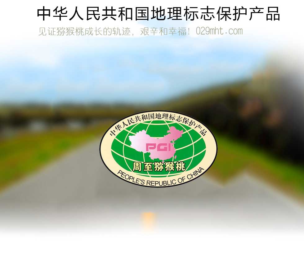 PG国际 59951