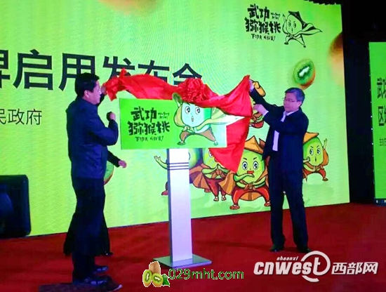 PG国际官方网站图片