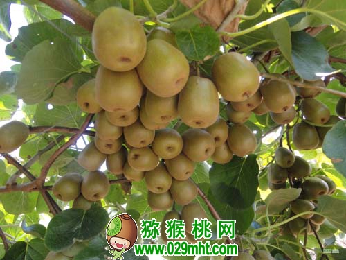 PG国际官方网站图片