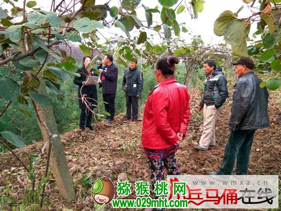 PG国际官方网站图片