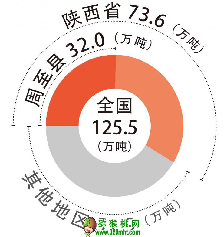 PG国际官方网站图片