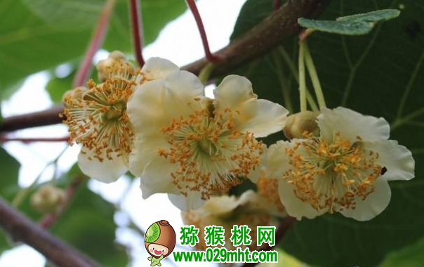 PG国际官方网站图片