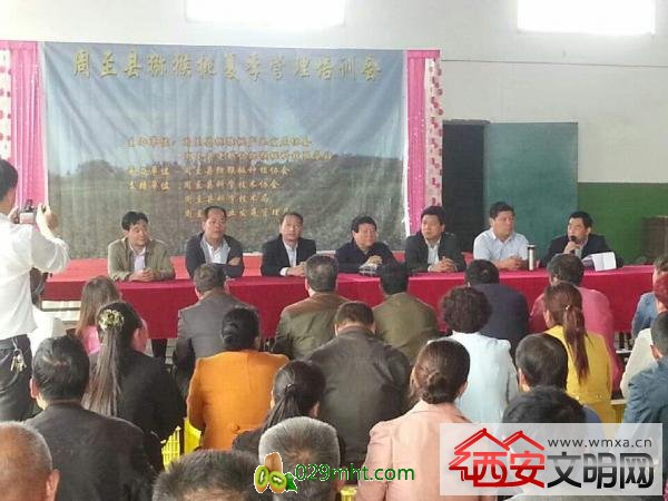PG国际官方网站图片