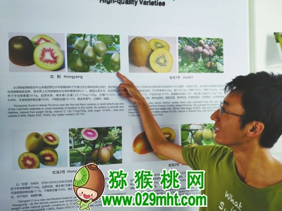 PG国际 1059c