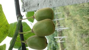 PG国际官方网站图片