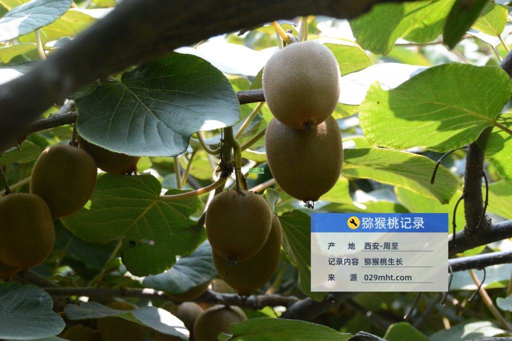 PG国际官方网站图片