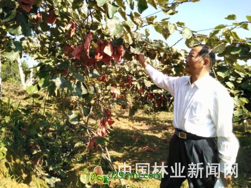 PG国际官方网站图片
