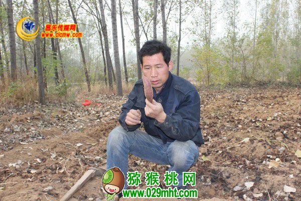 PG国际官方网站图片