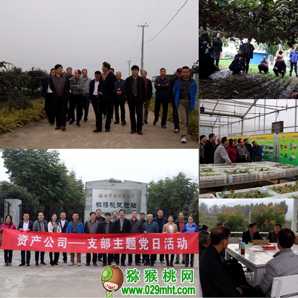 PG国际官方网站图片