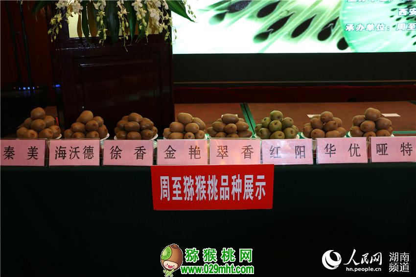 PG国际官方网站图片