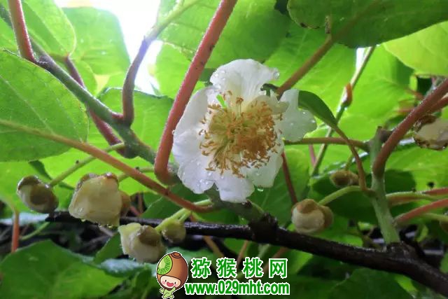 PG国际官方网站图片