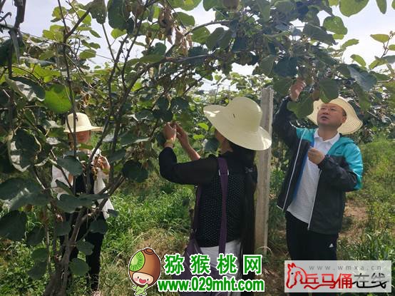 PG国际 6c452