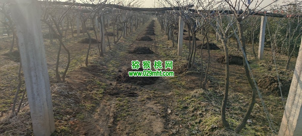 PG国际官方网站图片