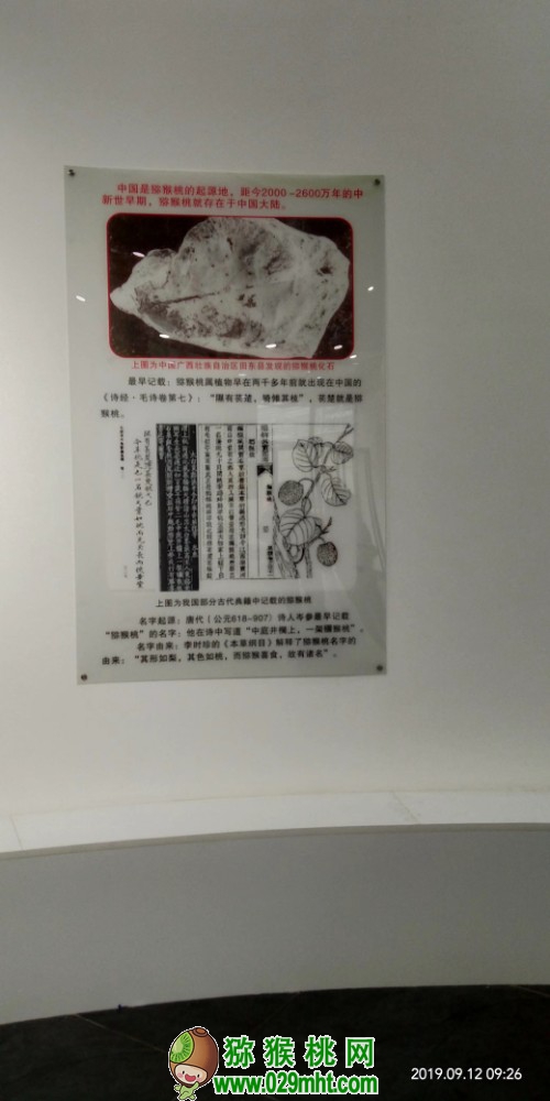 PG国际 a7f96