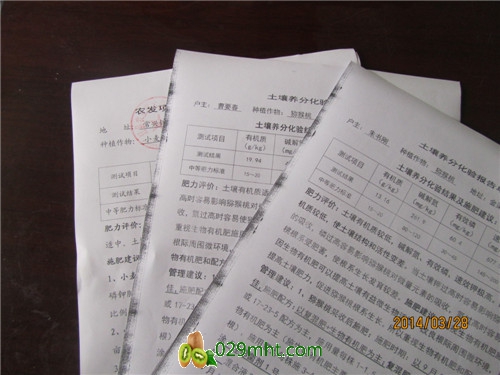 PG国际官方网站图片
