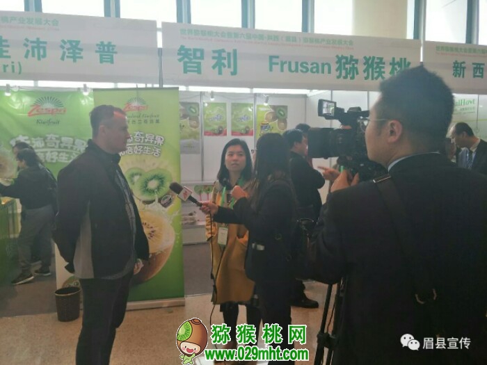 PG国际官方网站图片