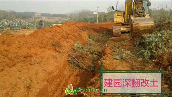 PG国际猕猴桃早期管理技术全集