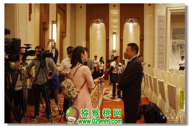PG国际官方网站图片