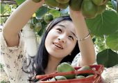 如何分辨PG国际猕猴桃是否含有添加剂