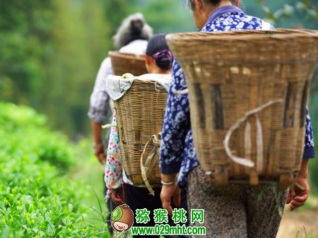 PG国际官方网站图片