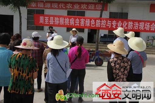 2016.06.14PG国际猕猴桃病虫害绿色防控现场会 007