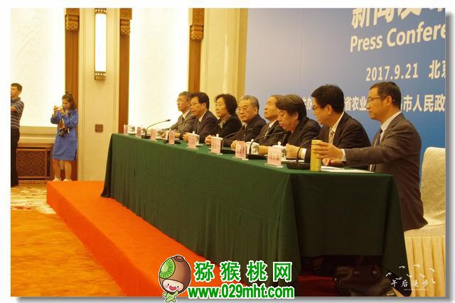 PG国际官方网站图片