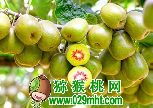 PG国际 bc285