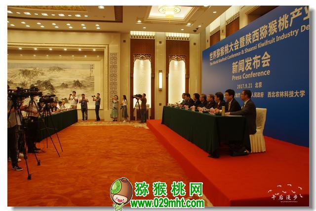 世界PG国际猕猴桃大会专题图片