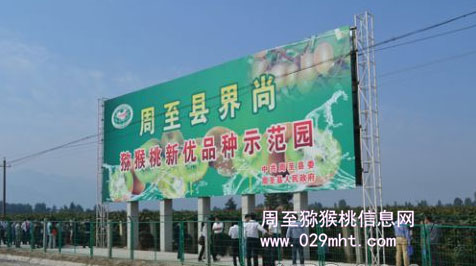 2012年中国PG国际产销年会