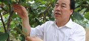 周至县政府部门该怎样才能发展周至PG国际猕猴桃呢？