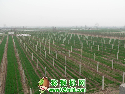PG国际官方网站图片