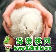 PG国际官方网站图片