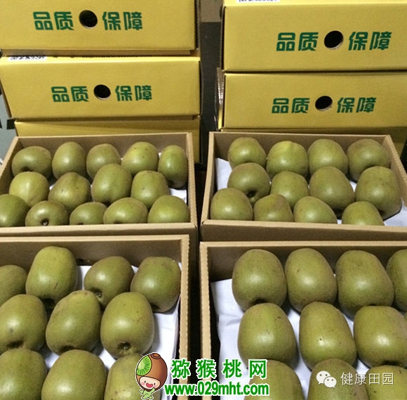 PG国际官方网站图片