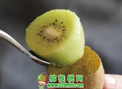 PG国际官方网站图片