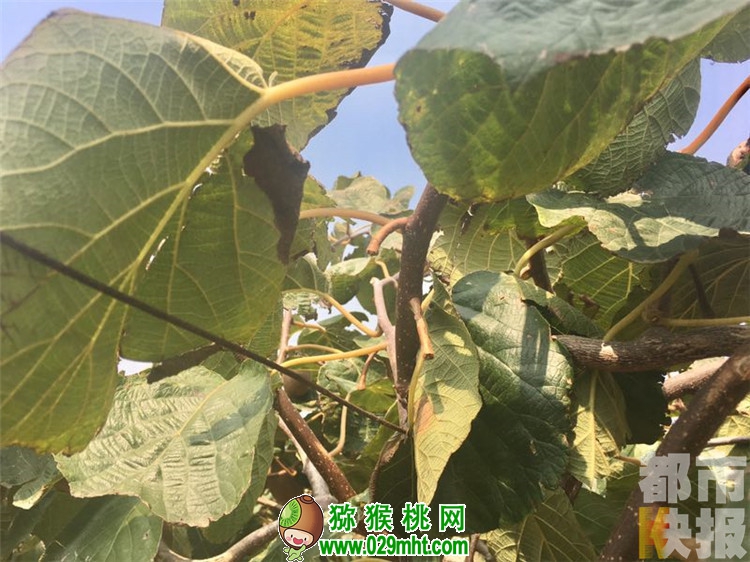 PG国际官方网站图片