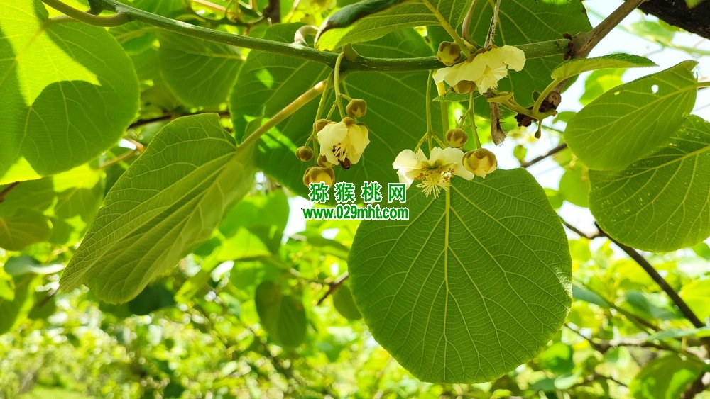 PG国际 f3fd1