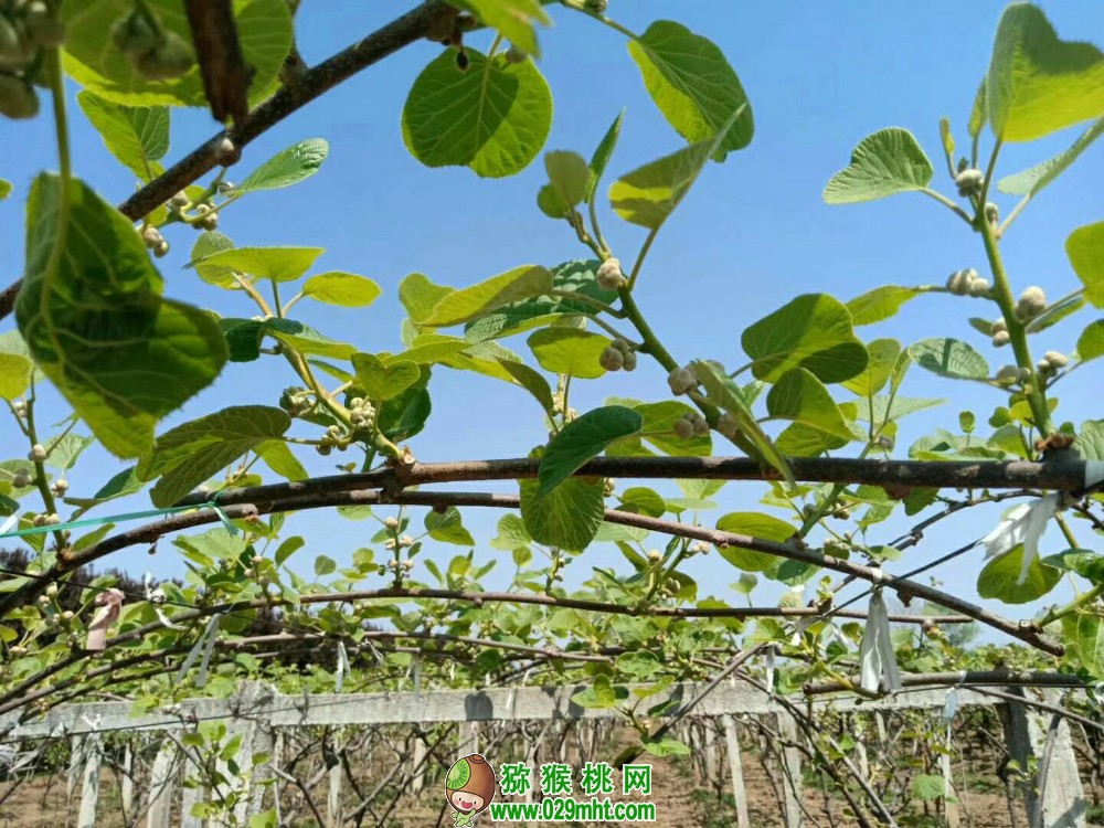 PG国际 5d390