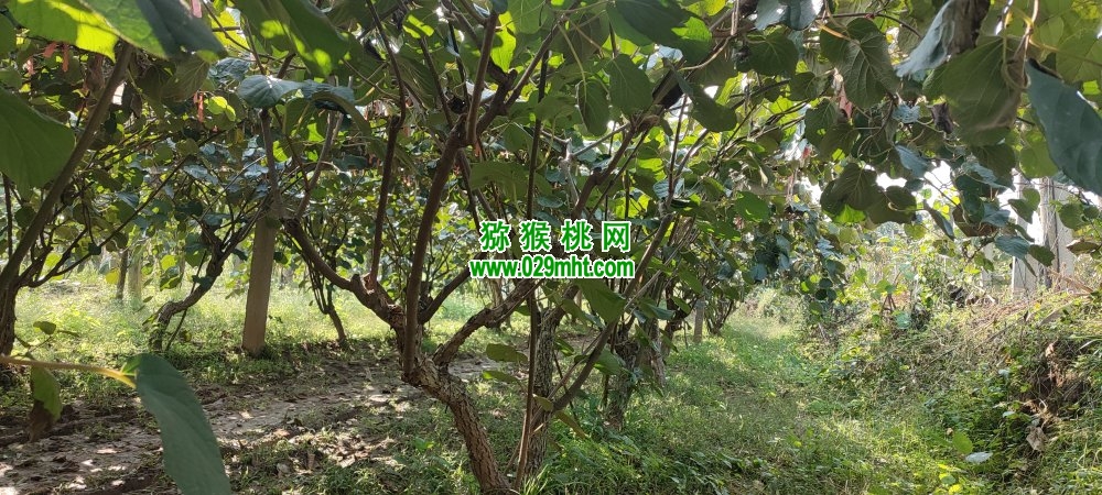 PG国际 3f075