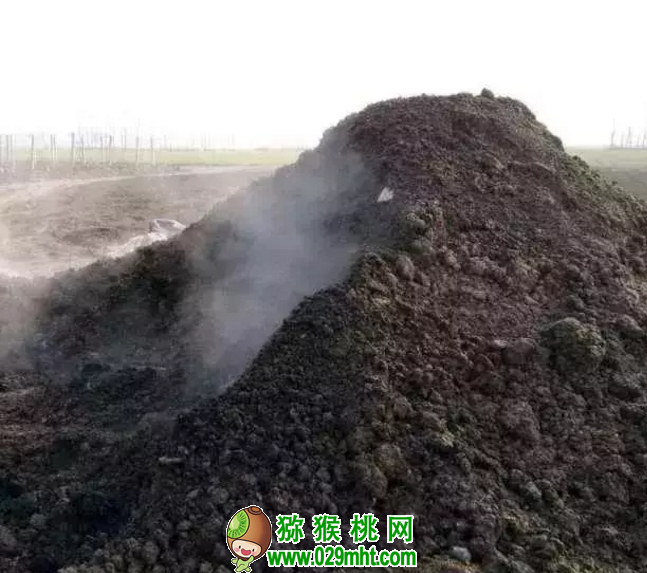 PG国际官方网站图片