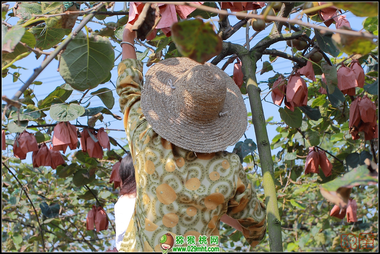 PG国际 7f67c
