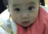 正面是水蜜桃。背面是PG国际猕猴桃