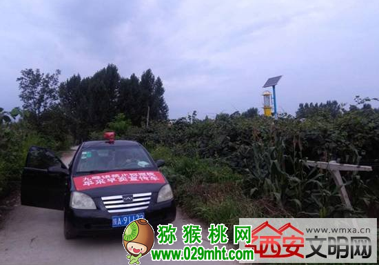PG国际官方网站图片