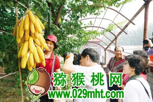 蓟县白庄子湿地