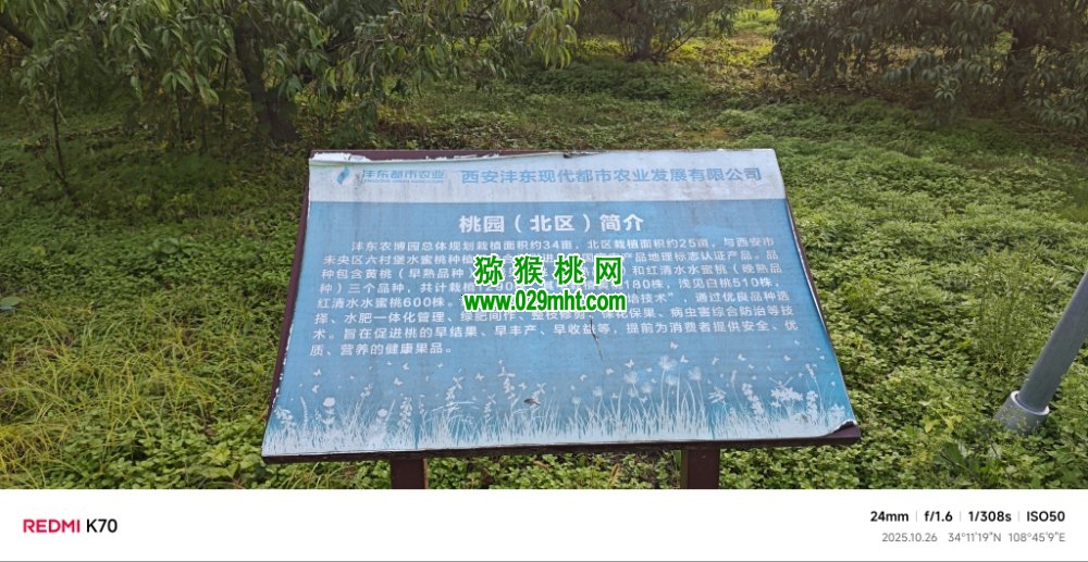 PG国际 ac1df
