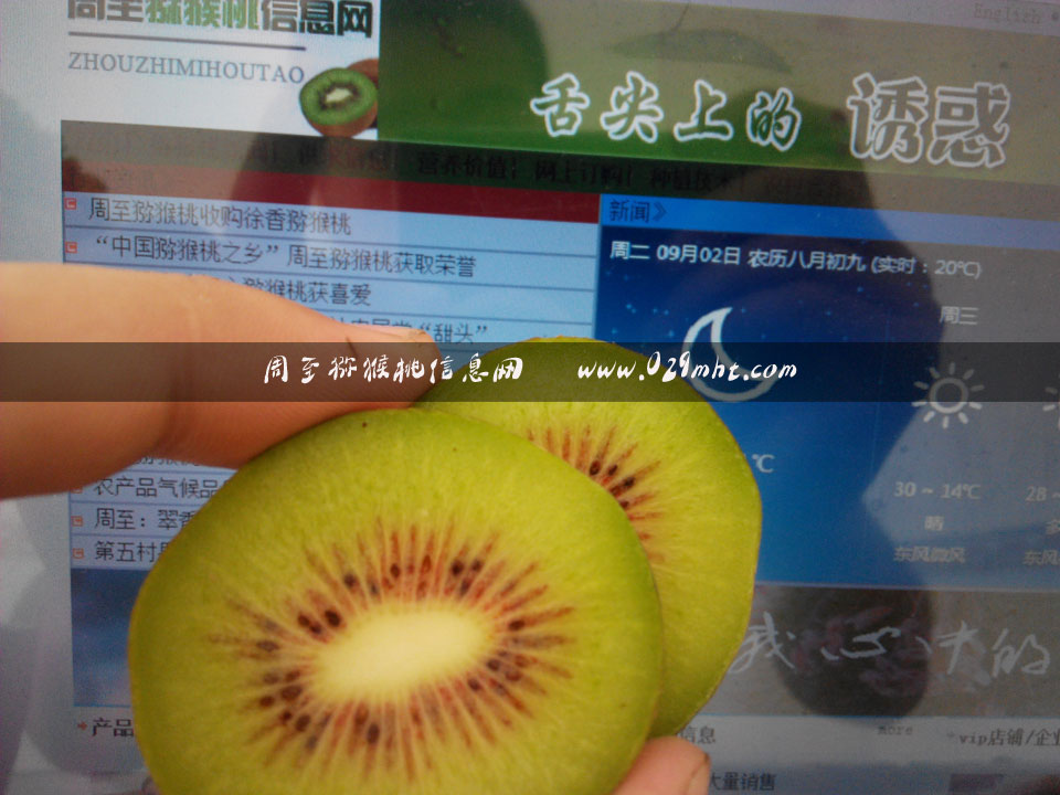 <a href=http://www.summer2018.cn/mht/hongxin/ target=_blank class=infotextkey />红心PG国际猕猴桃</a>画报