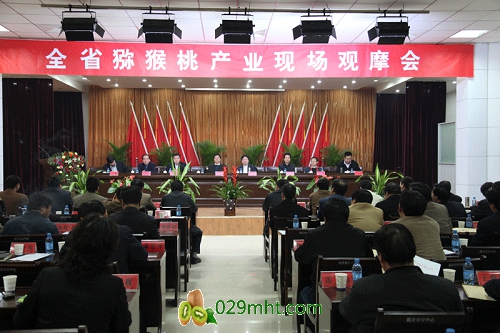 PG国际官方网站图片