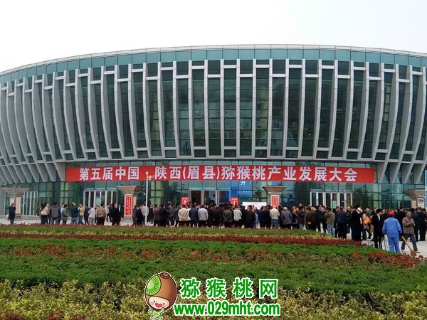 PG国际官方网站图片